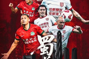 成都蓉城比赛集锦-尊龙中国网站