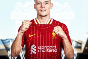 rookie在哪里直播2022-尊龙官方入口