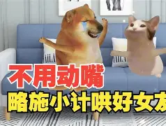 哩褹玊L输$▕D1?